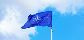 Съюзниците от НАТО отказаха да се създаде зона забранена за полети над Украйна