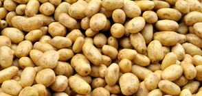 Производители прогнозират по-високи цени на хляба и картофите