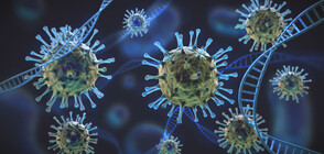 Под 2000 нови случая на коронавирус у нас