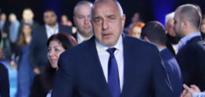 Адвокат: Най-вероятно Борисов ще бъде освободен