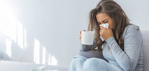 Д-р Гергана Николова: Внезапното вдигане на температура означава грип