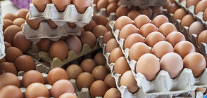 Ще се променят ли цените на доматите, яйцата и зеленчуците