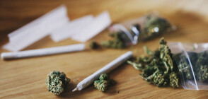 От Агенция „Митници” отчитат бум на задържаната марихуана у нас