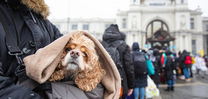 ЕС осигурява 17 млрд. евро за посрещане на нуждите на украинските бежанци