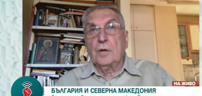 Владимир Перев: Може да е имало манипулация с преброяването на българите в РС Македония