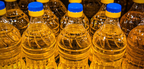 Предлагат намаляване на ДДС за олио, плодове и зеленчуци
