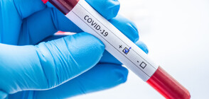 313 са новите случаи на COVID-19 у нас за изминалото денонощие