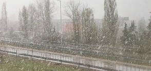 Сняг на парцали в София (ВИДЕО+СНИМКИ)