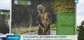 В София подредиха изложба с фотографии на спасените танцуващи мечки в Белица