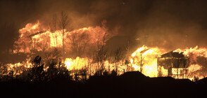Бушуващи пожари: Извънредно положение в руския Красноярски край