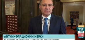 Борислав Гуцанов: Трябва да се подновят разговорите с "Газпром"