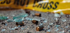 Най-малко 10 души бяха убити при стрелба в Бъфало
