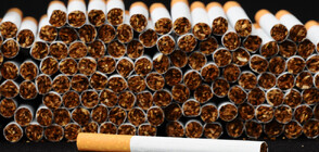 Съдят наемателя на склада за незаконно производство на цигари в Ботевград