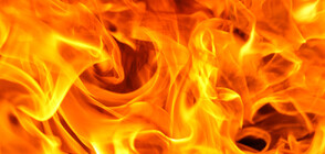 Пожари бушуват в няколко региона на Гърция