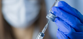 Англия се запасява с ваксини заради маймунската шарка