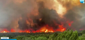 Голям горски пожар бушува в Тексас