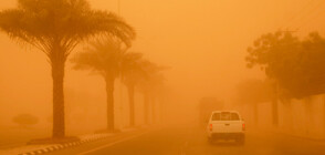 Пясъчна буря спря работата на летището в Кувейт (ВИДЕО+СНИМКИ)