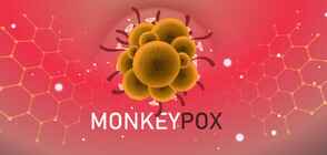 Лондон ваксинира контактни на заразени с маймунска шарка