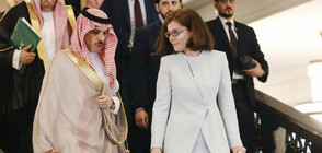 Генчовска се срещна с министъра на външните работи на Кралство Саудитска Арабия (СНИМКИ)