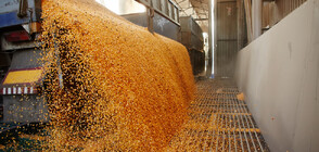 Турция: Невъзможен е в момента износът на украинско зърно по море