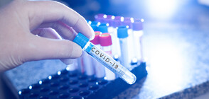 Белгия препоръчва нова подсилваща доза COVID ваксина за по-уязвимите