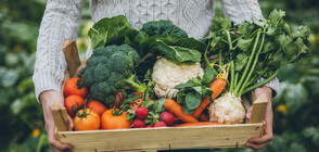 Отчита се поевтиняване на зеленчуците с появата на първите количества родно производство