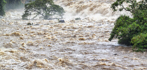 25 загинали при проливни дъждове в Бразилия (ВИДЕО+СНИМКИ)