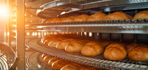 ПРОГНОЗА НА ПРОИЗВОДИТЕЛИ: По-евтин хляб с 20% след отпадане на ДДС от 1 юли