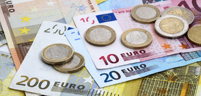 Еврото се срива, загуби 10% от стойността си