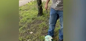 Прокуратурата се самосезира за мъжа, размахал нож пред деца и спукал топката им