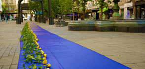 София почита жертвите на войната със 100-метрово синьо платно и жълти цветя (ВИДЕО+СНИМКИ)