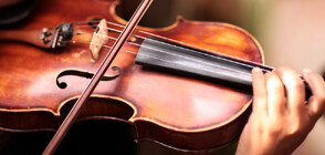 Рядка цигулка може да бъде продадена на търг за 11 млн. долара