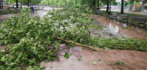 Бурята в Русе отнесе част от покривите на Регионалната библиотека и Онкологичната болница