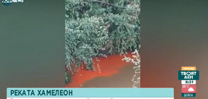 Река Русенски Лом се оцветява в нетипични нюанси