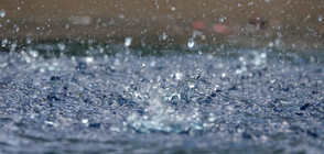 Проливните дъждове нанесоха сериозни щети в Гърция