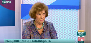 Елена Поптодорова: Има криза, но не и катастрофа