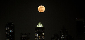 Ягодова луна освети света тази нощ