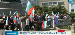 Три протеста срещу правителството в центъра на София (ВИДЕО)