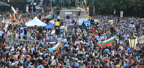 Демонстрация в подкрепа на правителството (ВИДЕО)