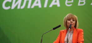 Мая Манолова внася подписка с искания в НС