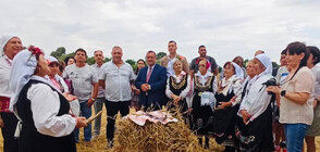 Иванов: Зърнената реколта ще бъде достатъчна
