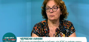 Коларова: БСП е скритият проблем, а ИТН - дразнителят в коалицията