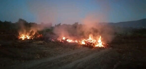 Жегата в Пловдив разгоря десетки пожари
