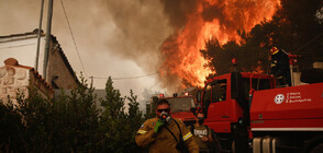 Пожари бушуват в няколко региона на Гърция (ВИДЕО+СНИМКИ)