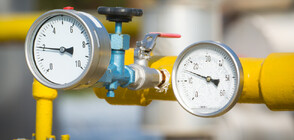 Работодателите питат за цената на природния газ за юли