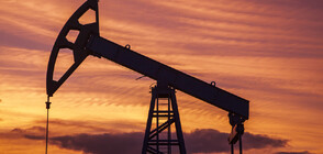 ОАЕ: ОПЕК не контролира цената на петрола