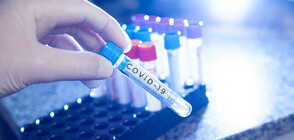 Над 600 са новите случаи на COVID-19 у нас