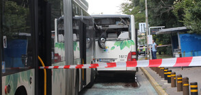 11 пострадали, сред които и дете, при сблъсък между автобуси в София (СНИМКИ)
