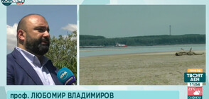 Десетки русенци на плаж край Дунав