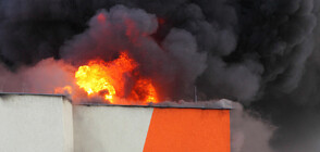 Кооперация рухна след взрив в Германия, има ранени (СНИМКИ)